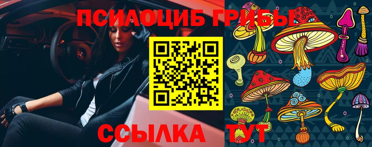Галлюциногенные грибы прущие грибы Ялуторовск